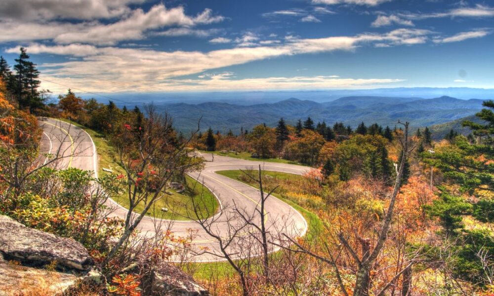 Forrest Gump (Grandfather Mountain)