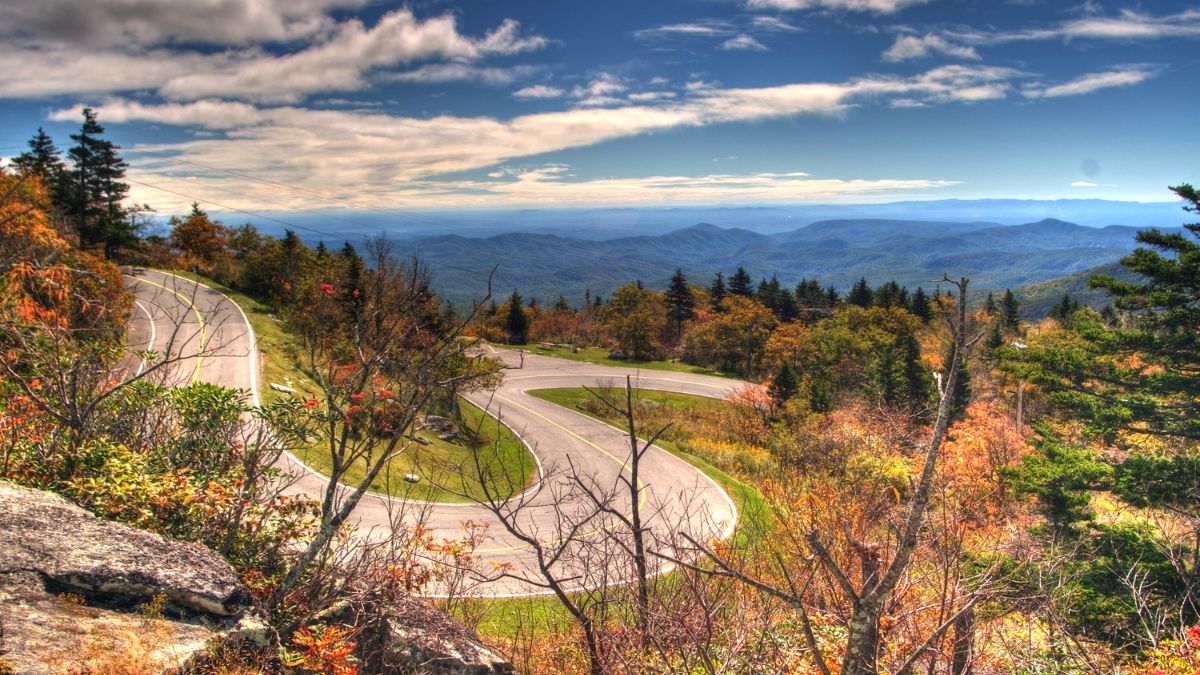 Forrest Gump (Grandfather Mountain)