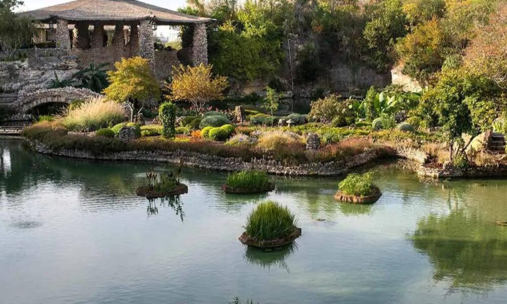 San Antonio Japanese Tea Garden