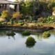 San Antonio Japanese Tea Garden
