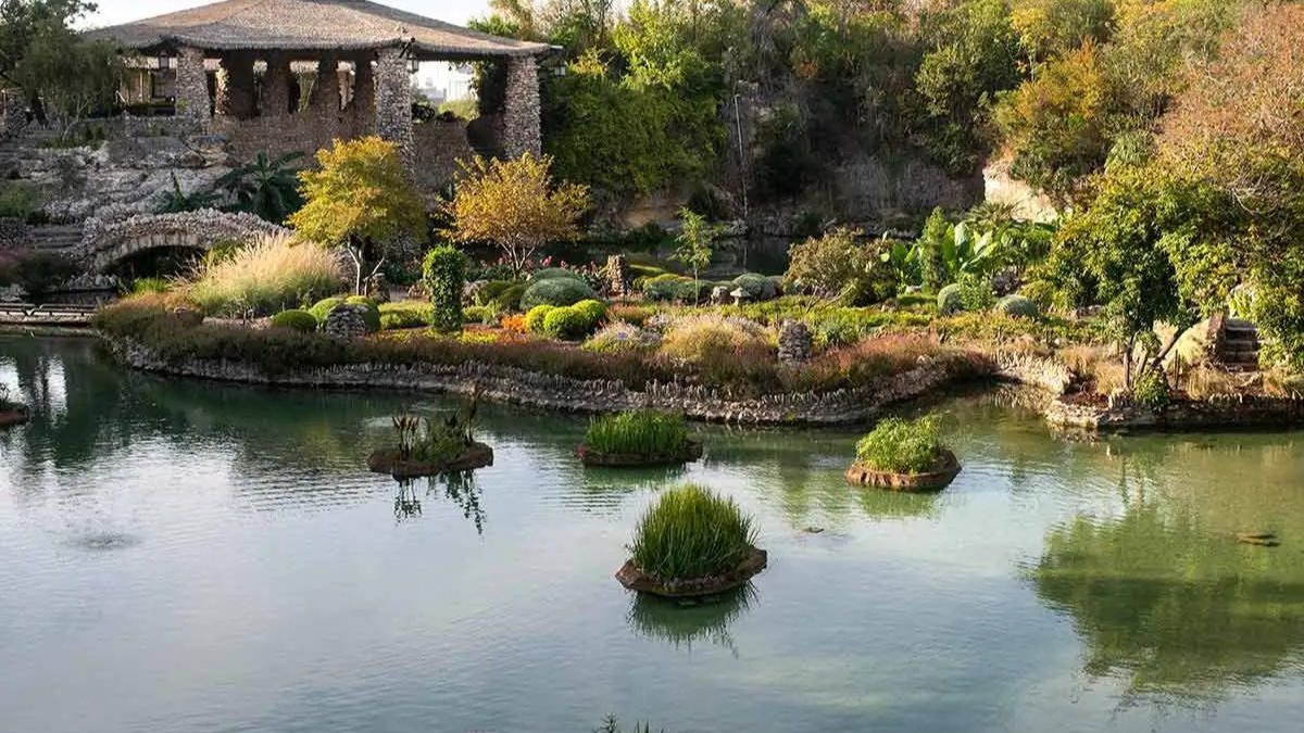 San Antonio Japanese Tea Garden