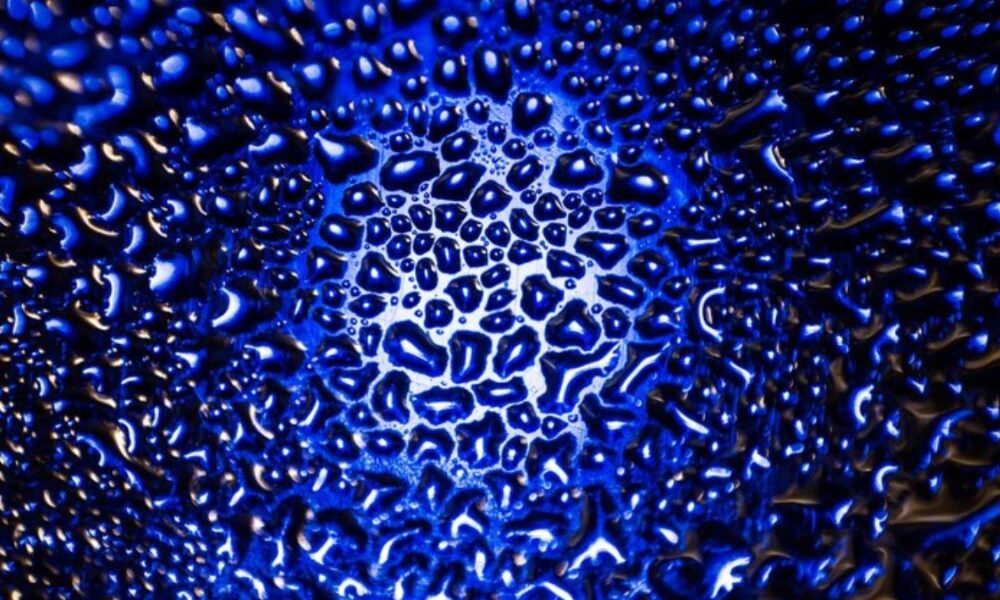 intelliscient technologies granular recovery
