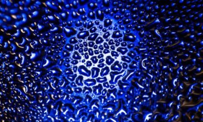 intelliscient technologies granular recovery