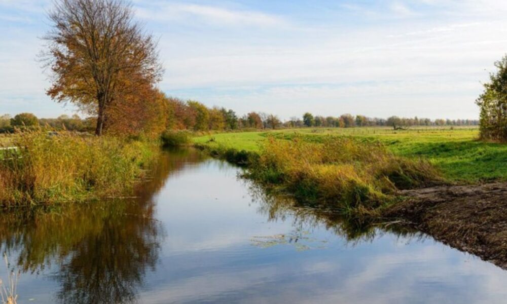 Streameast