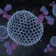 Custom Antibodies vs. Standard Antibodies: Key Differences