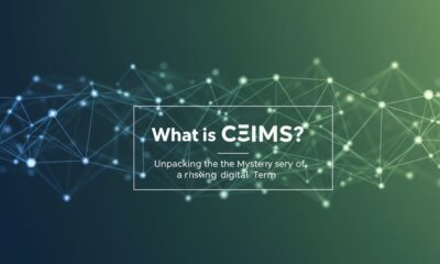 What Is Cñims? Unpacking the Mystery of a Rising Digital Term