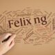 Felixing: Understanding Its Meaning, Philosophy, and Role in Modern Life