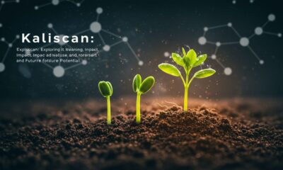 Kaliscan: Exploring Its Meaning, Impact, and Future Potential
