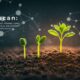 Kaliscan: Exploring Its Meaning, Impact, and Future Potential