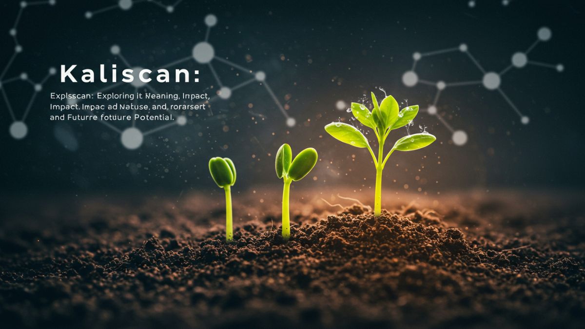 Kaliscan: Exploring Its Meaning, Impact, and Future Potential