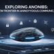 Exploring anonibs: The New Frontier in Anonymous Communication