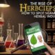The Rise of herbciepscam: How to Spot Scams in the Herbal Industry