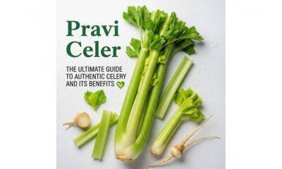 Pravi Celer: The Ultimate Guide to Authentic Celery and Its Benefits