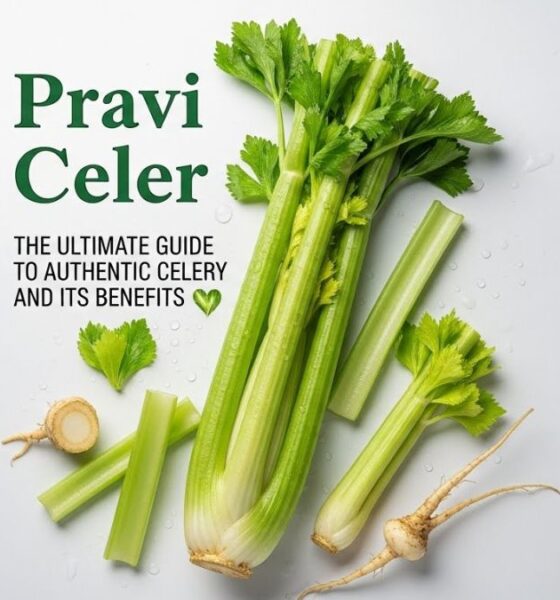 Pravi Celer: The Ultimate Guide to Authentic Celery and Its Benefits