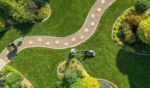 Mexican lawnmower: Bridging Tradition and Innovation in Yard