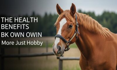 The Health Benefits of Owning a bk horse: More than Just a Hobby