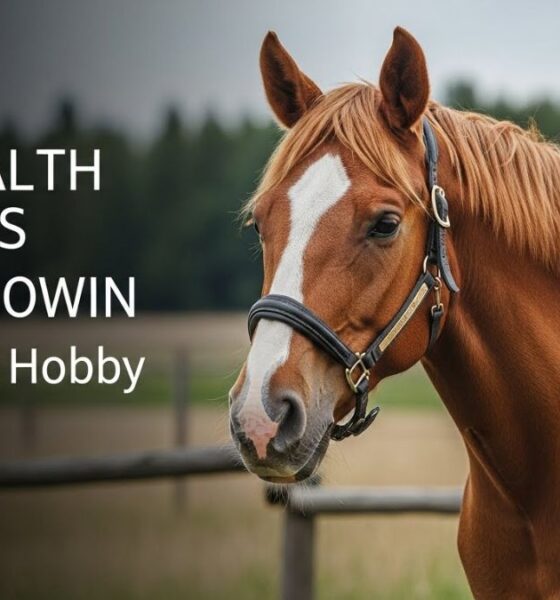 The Health Benefits of Owning a bk horse: More than Just a Hobby