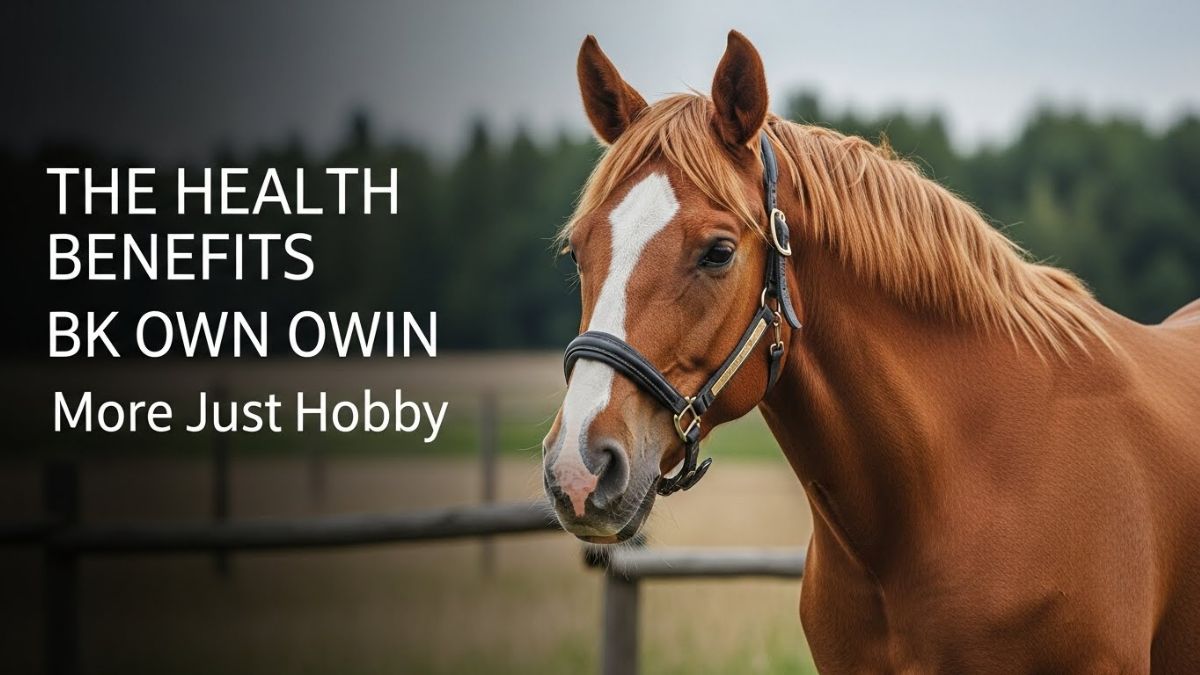 The Health Benefits of Owning a bk horse: More than Just a Hobby