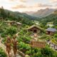 Acamento: The Hidden Gem of Sustainable Living