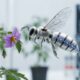 The Future of Insetprag: Trends and Innovations to Watch